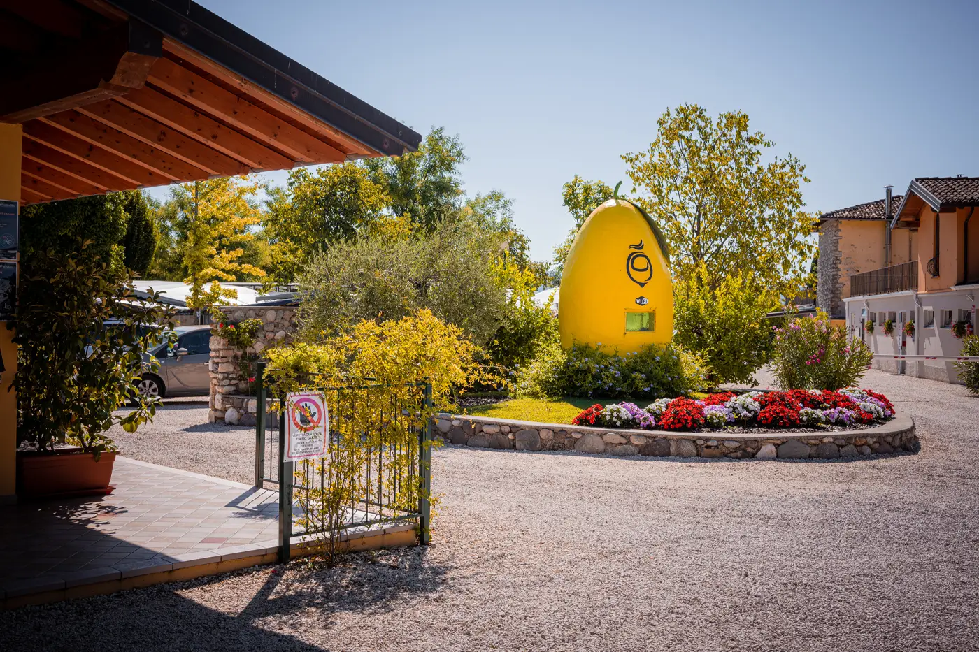 Foto del limone, il simbolo del campeggio